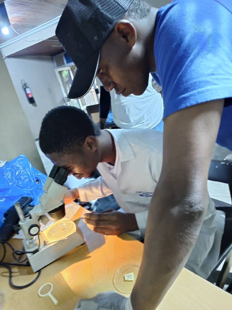 Ocean research documentation